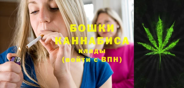 гидра Верея