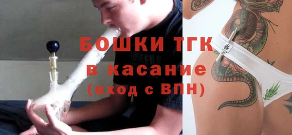 гидра Верея