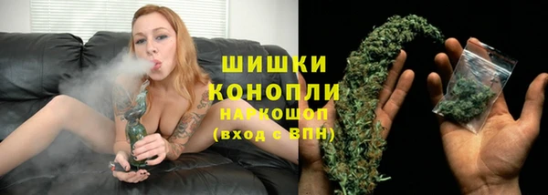гидра Верея