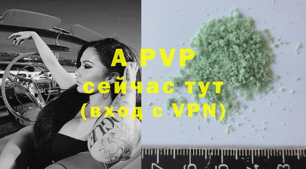 гидра Верея