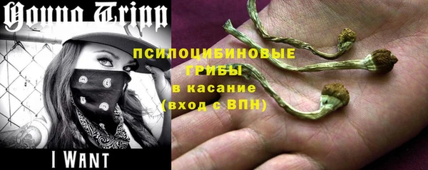 гидра Верея