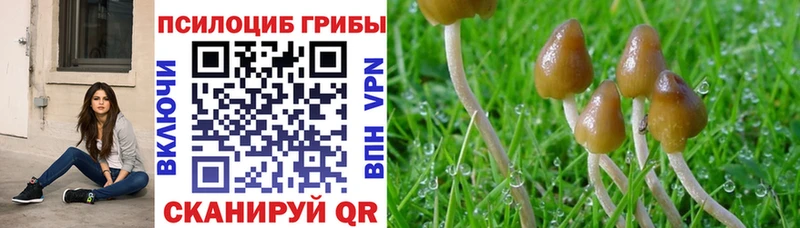 купить закладку  Семёнов  Галлюциногенные грибы мицелий 